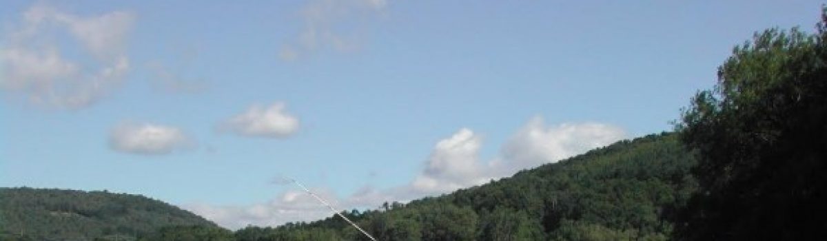 Best Local Places to Enjoy Fun in the Sun