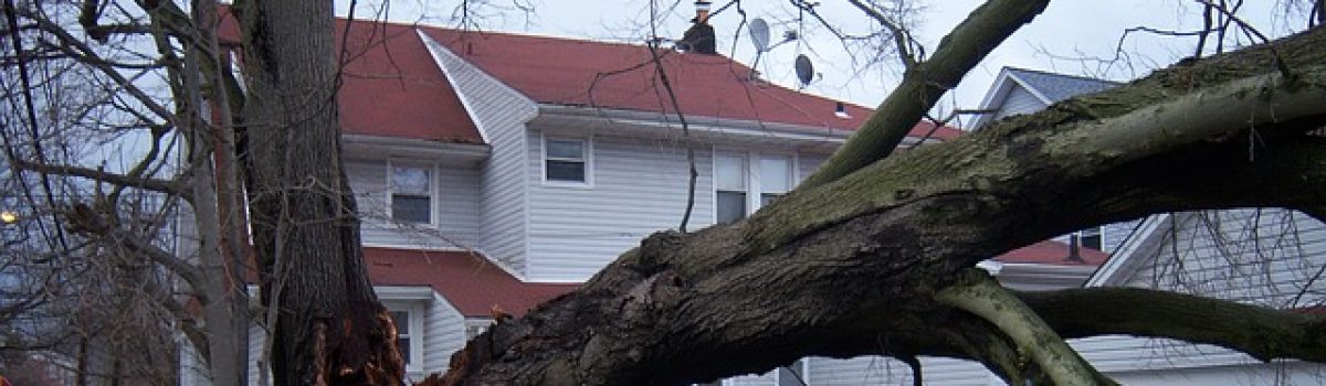 When (and When Not) to File a Homeowner’s Insurance Claim